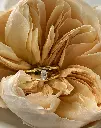 ChatGPT Image Jun 3, 2026, 02_50_35 PM.webp